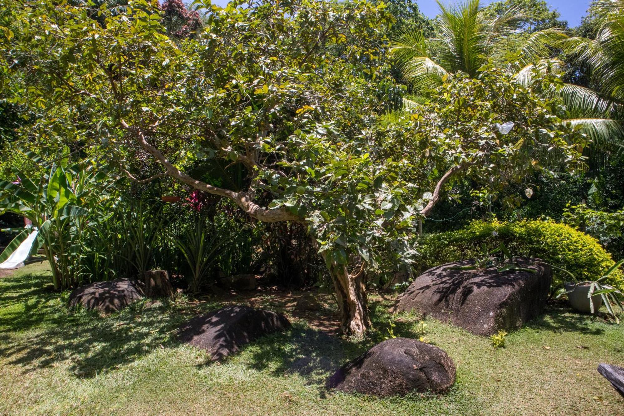 Domaine Desaubin Luxury Villas Takamaka Bagian luar foto
