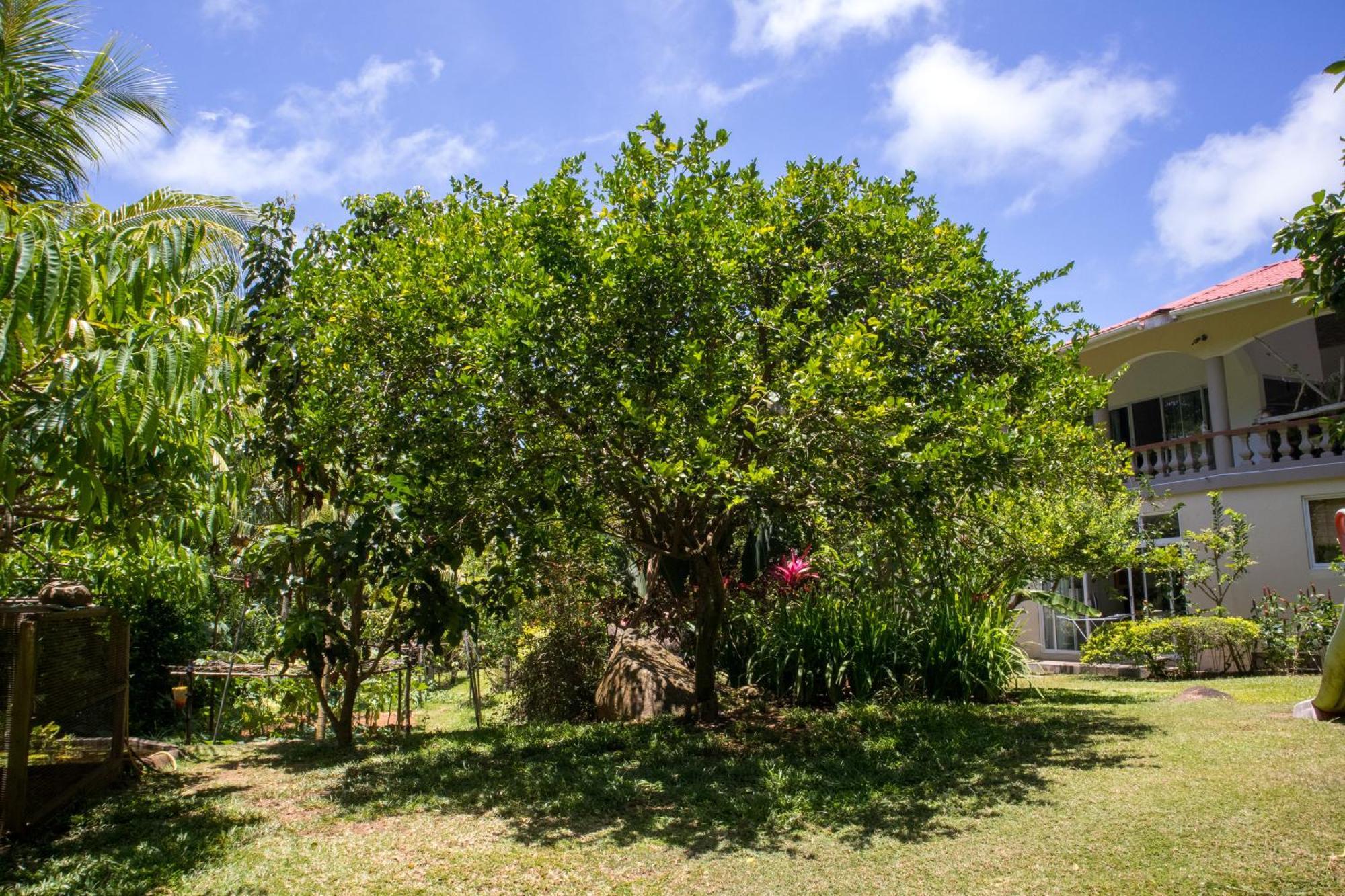 Domaine Desaubin Luxury Villas Takamaka Bagian luar foto
